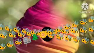 Ctc Beez Logo Remake 2017 2018 Add Round Speedrun Kinemaster Be Like