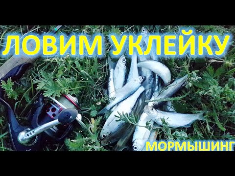 ловля на спиннинг уклейки ловля на спиннинг уклейки