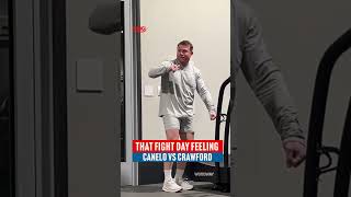Its Fight Day Live On Netflix
