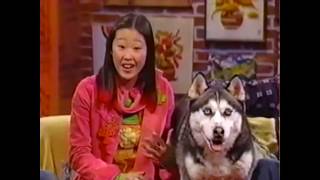 Eight Below Disneys Movie Surfers