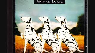 Watch Animal Logic Im Through With Love video