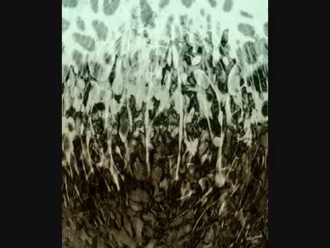 Ode Video