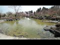 桜山公園の桜（春）