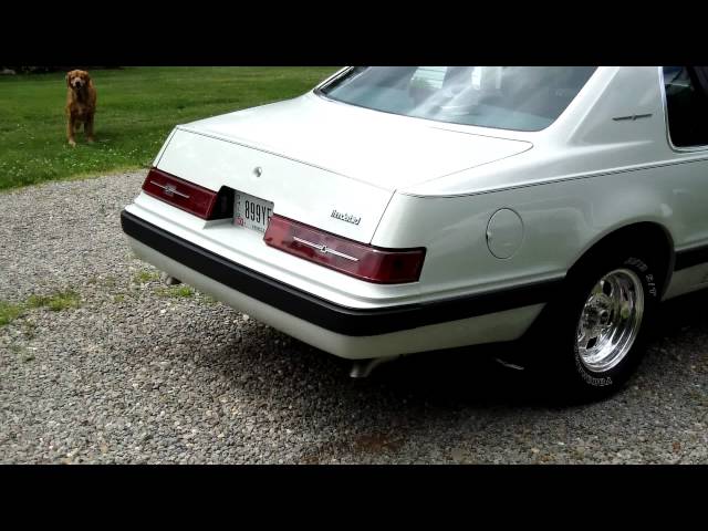 Video Preview Image