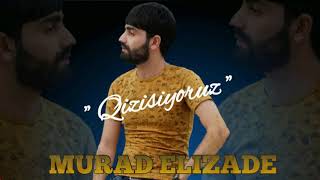 Murad Elizade - Nabarot Qizisiyoruz 2020 ( Lyric Audio)