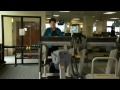 Diagnose Type 1 Diabetes