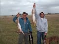 CAZA DE AVESTRUZ CON GALGO