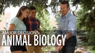 Major Decisions: Animal Biology