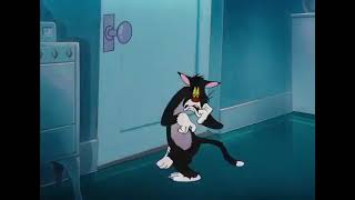 The Cat That Hated People 24 Times Faster