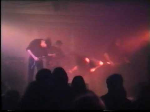 Trauma Paradise Video