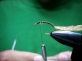 Tying the Fall Caddis pupa, october caddis pupa by UtahsFlyCorner