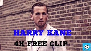 Harry Kane Free Clips No Watermark 2021 4K