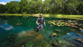 Treasure Hunting Subdivision Pond with Alligators and BIG Fish!! (Underwater Surprise) Treasure Hunting Subdivision Pond with Alligators and BIG Fish!! (Underwater Surprise)