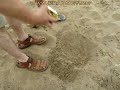- Н. Бюджетный профессиональный металлодетектор.