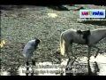 Eerste Europese beschaving Prehistorische Dacia ENGELS part2 Preistorica ondertitels documentaire 2