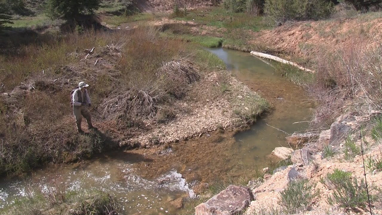 Fishing the Upper East Fork Sevier River, Utah YouTube