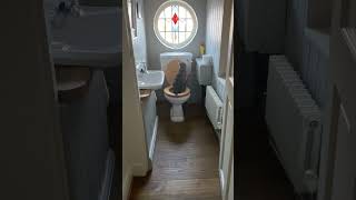 Family Discovers Cat Has Been Using The Toilet