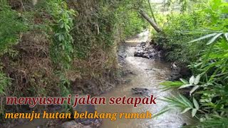 Berkunjung Ke Hutan Sambil Relaksasi Di Belakang Rumahku Pedesaan Rindu
