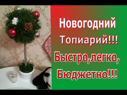 Как вылечить новогодняя топиария елка Как вылечить новогодняя топиария елка