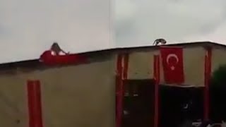 Türk Bayrağını Düzelten Kedi Sosyal Medyada Ilgi Odağı Oldu