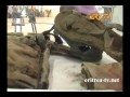 Eritrean News Tigrinya 19 August 2014 Eri Tv