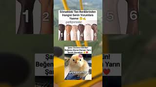 Görseldeki Ten Renklerinden Hangisi Senin Teninle Aynı Yorumlara Yazınız