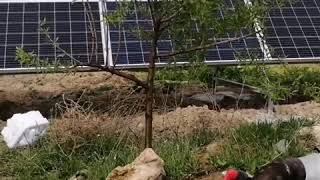 Güneş Paneli 10 Hp Güneş Takipli