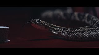 Watch Upon A Burning Body Snake Eyes video