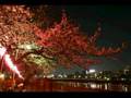 ジプシーキングス - ファエナ Gipsy Kings - Faena