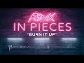 Burn It Up Video preview