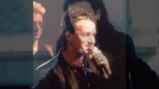 Watch Bono Cant Help Falling In Love video