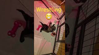 Wrestling