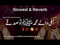Kamli Wale Muhammad To Sadke Mein Jaan Nusrat Fateh Ali Khan | [Slowed + Reverb] #Lo-fi | Koi Umeed
