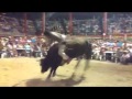 Rancho Jr Promocional