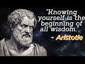 Aristotle Quotes & Philosophy Explained