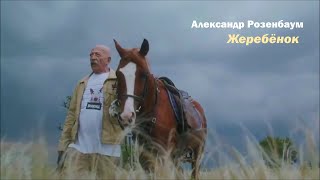 Александр Розенбаум - Жеребёнок