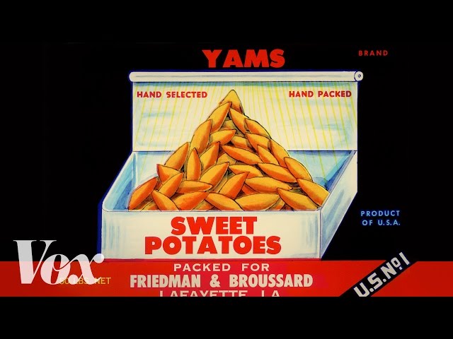 Sweet Potatoes And Yams: What’s The Difference? - Video