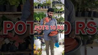 Pots Starting From 10 Rs