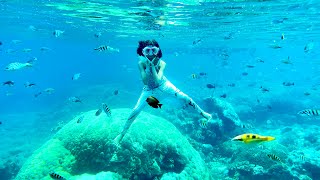 Berenang Di Laut