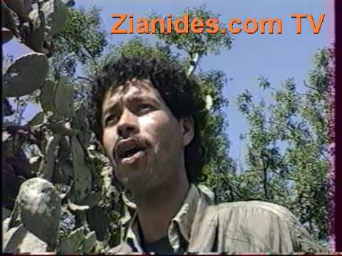 noujoum saf elbarrani