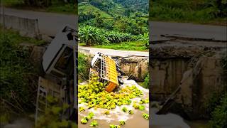 Banana Truck Disaster When Bridge Collapses