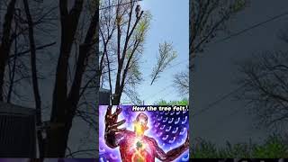 The New Tree Born