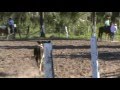 PROVA DE LAÇO COMPRIDO NA GLEBA RETIRO EM VILA BELA-MT BUGÃO