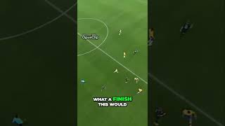 CCavyAMcAyY Video Image