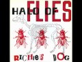 Halo Of Flies "Richies Dog" • Amphetamine Reptile Records