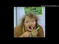raptor koch -i like to stay home (R Stevie Moore cover)
