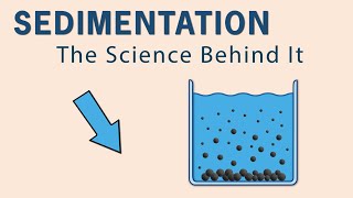 Apprendre La Sédimentation Grâce À Lanimation Facteurs Clés Influençant La Sédimentation Pro...