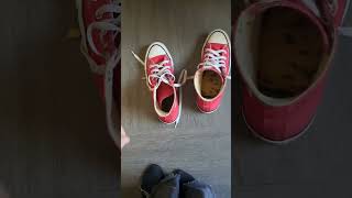 Red Converse Inshoe Bread Crush