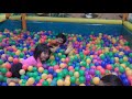 Mandi Bola Di Kepung Gadis images Mandi Bola Di Kepung Gadis