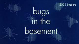 Bugs In The Basement- Cydia Latiferreana aka The Filbertworm
